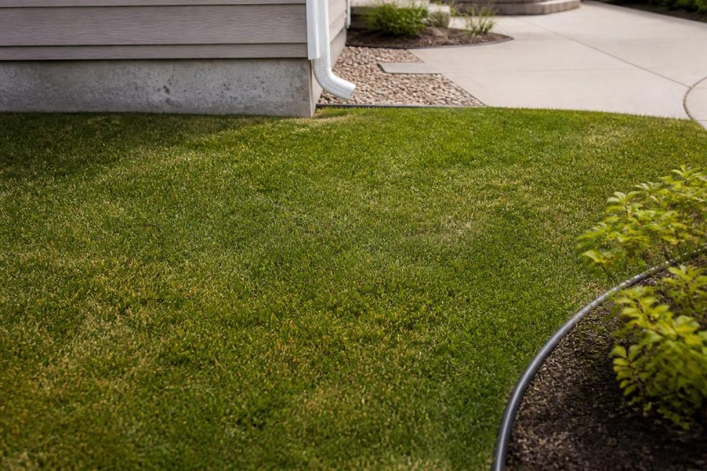Sewer Line Repair