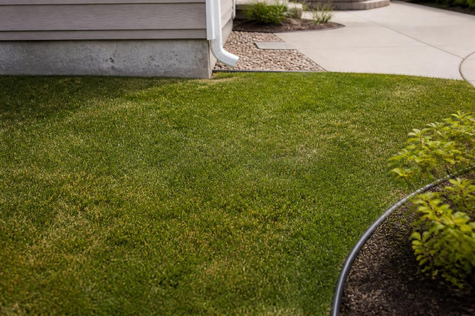 Restored yard area after sewer line repair.